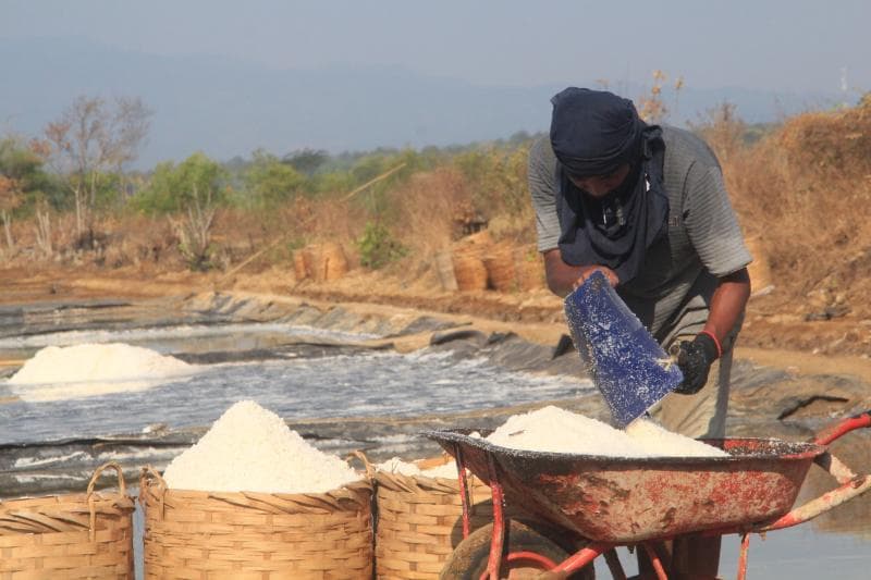 Salah seorang petani garam di&nbsp;Tanggul Tlare sedang memindah garam untuk diangkut ke tempat penampungan. (Inibaru.id/ Imam Khanafi)