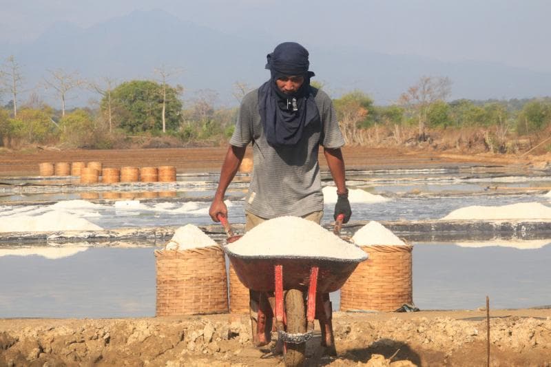 Seorang petani garam di Tanggul Tlare sedang memindah garam untuk diangkut ke tempat penampungan. (Inibaru.id/ Imam Khanafi)