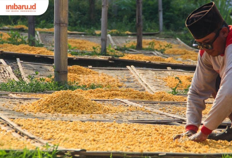 Proses penjemuran marning jagung di Desa Jurang, Kecamatan Gebog, Kudus. (Inibaru.id/ Imam Khanafi)