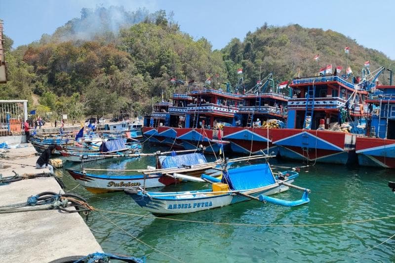 Pelabuhan Gesing diproyeksikan menjadi tourism fishing port atau pelabuhan perikanan berbasis pariwisata. (Harianjogja/David Kurniawan)