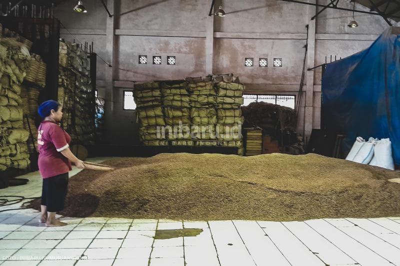 Dari gudang penyimpanan, tembakau dipersiapkan untuk diproses menjadi rokok di Pabrik Praoe Lajar.